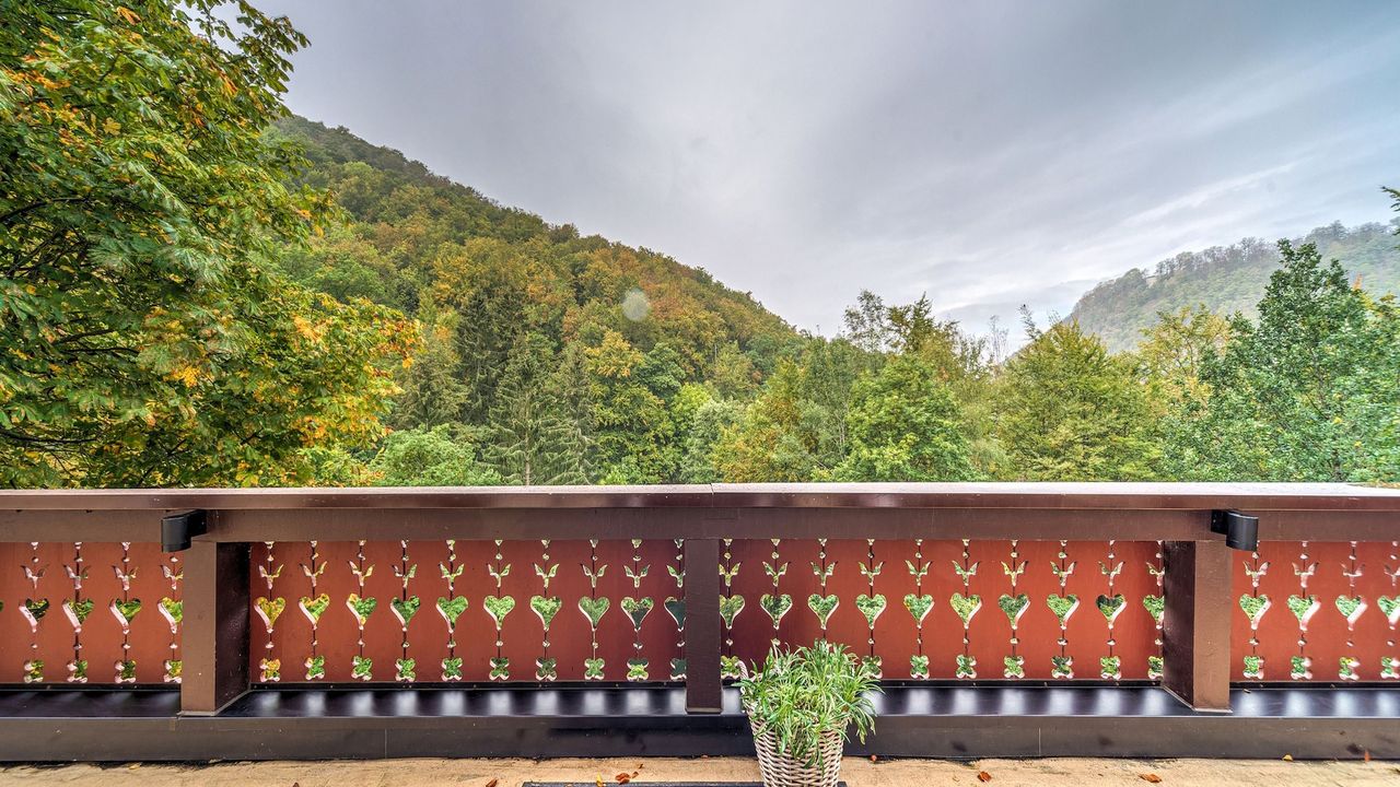 ViewSummer ViewSummer